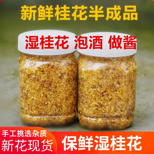 现货新鲜采摘湿桂花金桂丹桂花瓣