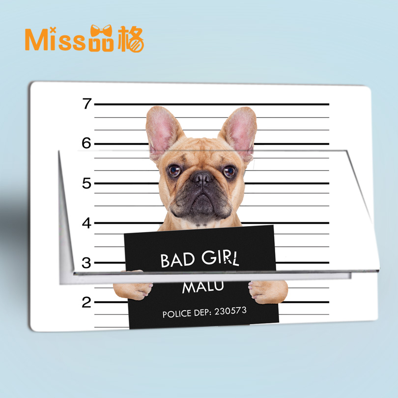 定做配电箱遮挡多媒体贴画包邮