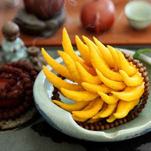 金华佛手柑新鲜现摘观赏清供