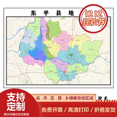 东平县折叠版地图1.15m山东省泰安市入户门装饰画客厅墙贴新款