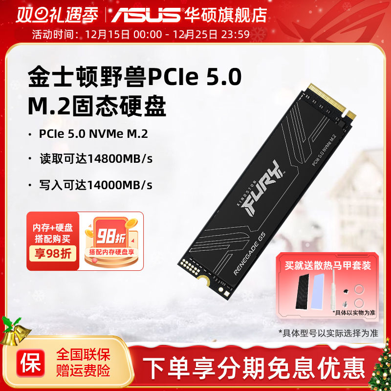 金士顿FURYRenegadepcie5.0ssd
