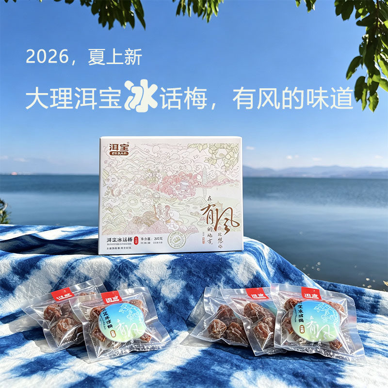 洱宝冰话梅云南特产伴手礼盒