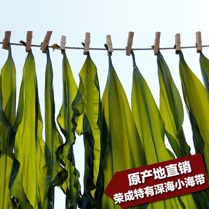 山东荣成出口级深海野生小海带 海白菜非干货500克昆布丝特产海藻