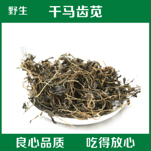 干马齿苋马蜂菜蚂蚱菜马榨菜包子