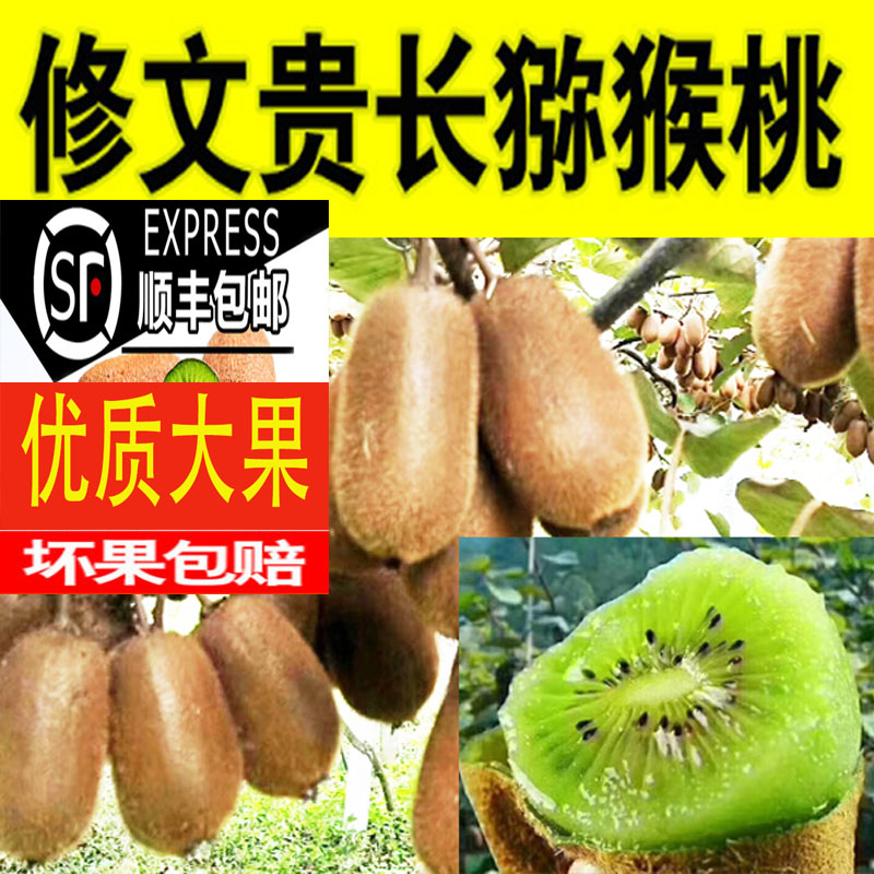修文贵长猕猴桃 5斤 10斤 贵州 绿心奇异果礼盒孕妇水果