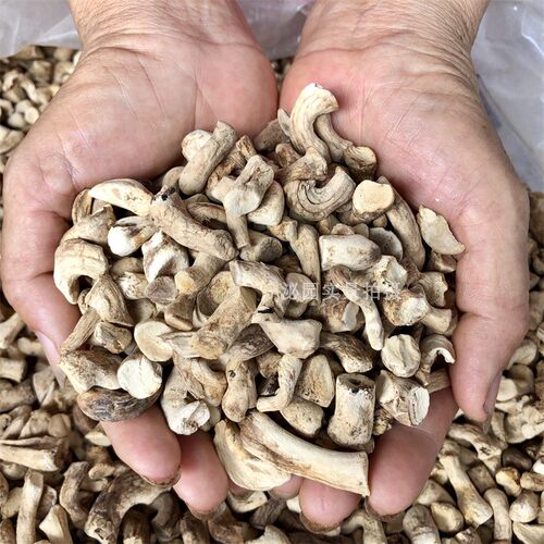 5斤装双剪香菇脚足干香味浓