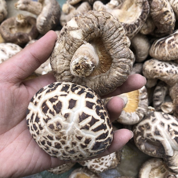 河南泌阳花菇干货肉厚冬菇带脚干香菇家用商用散装