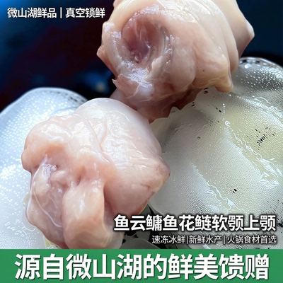 微山湖鱼云花鲢上颚淡水生鲜鱼杂