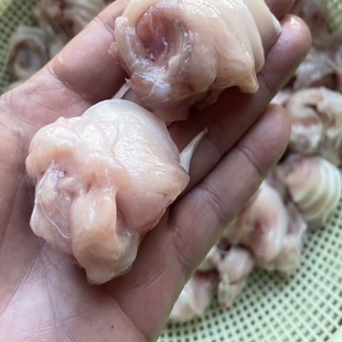 鱼云鳙鱼花鲢软颚上颚新鲜水产速冻冰鲜真空装微山湖生鲜火锅食材