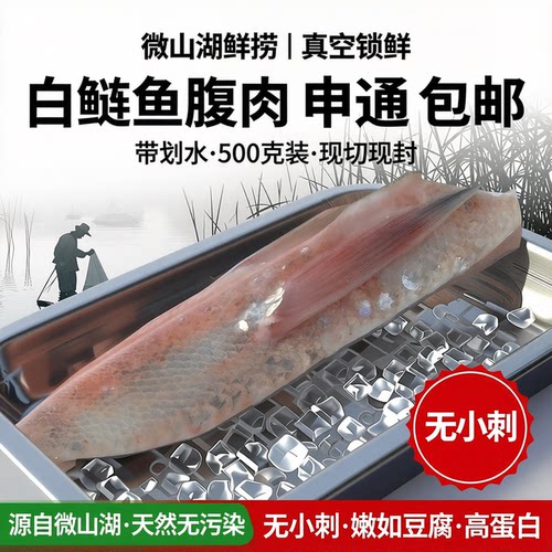 微山湖白鲢鱼肚皮鱼腩鱼腹肉肥美