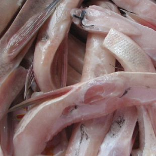 白鲢鱼肚皮鱼腩鱼腹肉带划水无小刺500克真空装微山湖生鲜分割鱼