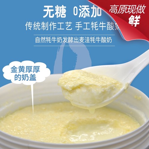 顺丰冷链青海藏区高原红原牦牛酸奶新鲜现原味无糖0 添加孕妇酸奶