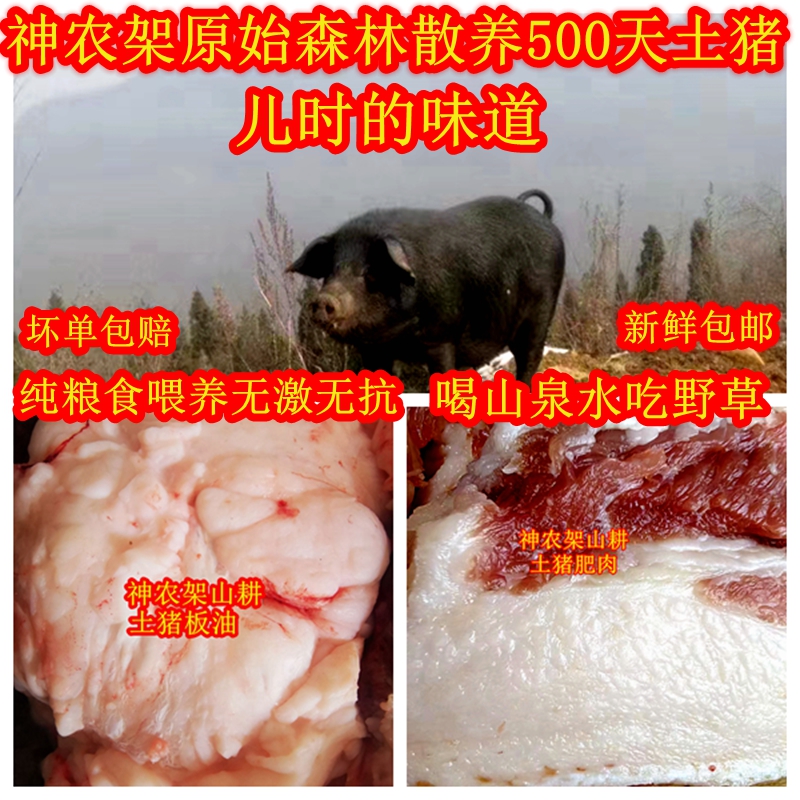 土猪板油纯粮食喂养无激无抗