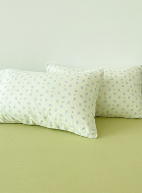 莓烦恼 春日绿色系小蓝莓A类棉双层纱枕套草莓枕芯罩单只装可定制