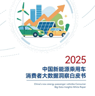 2025中国新能源乘用车消费者大数据洞察白皮书142页市场现状趋势