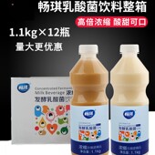 整箱12瓶畅琪发酵乳酸菌浓缩奶茶店专用益生菌酸奶奶茶店专用