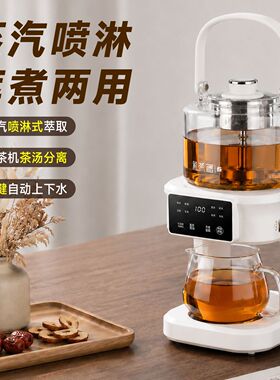 煮茶器智能萃茶机茶饮机新款多功能自动上水养生壶钛 节日礼品