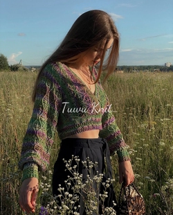 薇妮莎毛衣编织中文图解文字说明