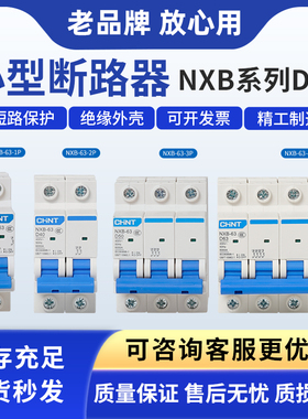 正泰昆仑D型动力NXB-125 NXB-40 NXB-63 1P 2P3P4P 小型断路器DZ4