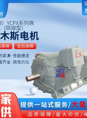 佳木斯电机马达T(B)YCPX高效隔爆高压电机变频调速永磁同步电机