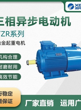 湘潭电机股份YBZR系起重用隔爆型电机矿用防爆电机单轴/双轴电机