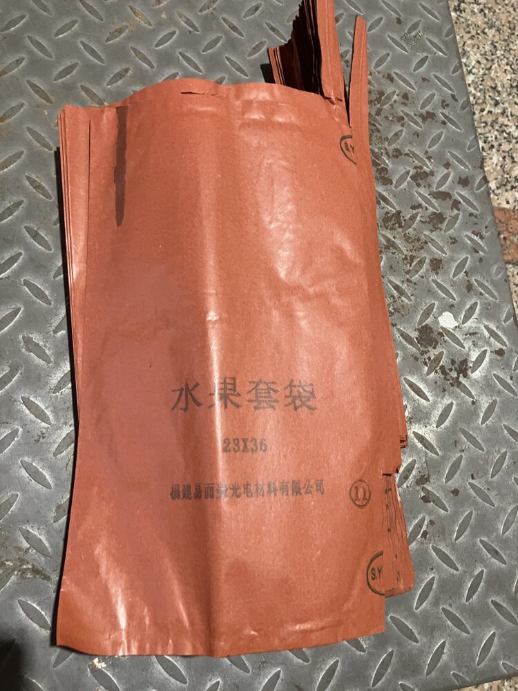 金煌芒果专用套袋大芒果套袋贵妃芒凯特芒鹰嘴芒防虫防晒纸袋