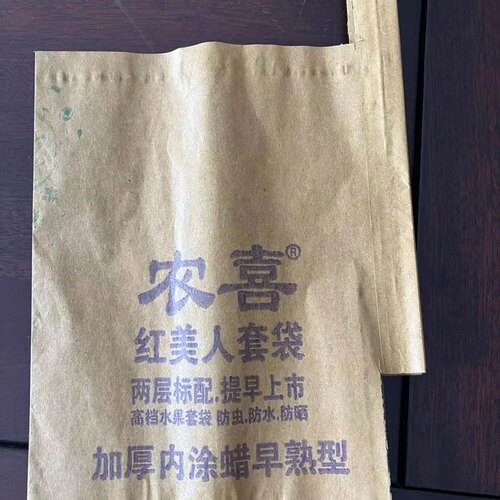 红美人双层专用套袋提早上市葡萄柚双层内黑柑橘脐橙防虫防晒套袋