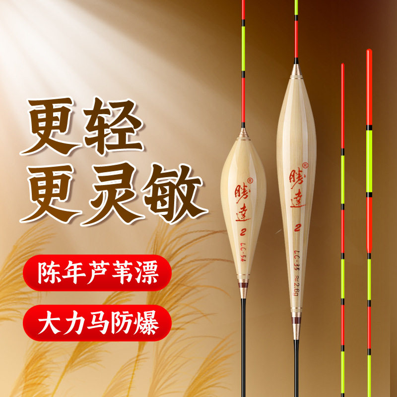 黑坑竞技灵敏度高鲫鱼鲤鱼漂混养漂醒目加粗防爆顶鱼漂芦苇浮漂