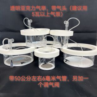 鱼缸孵化圆形漂浮带气举隔离盒亚克力可换底异形鱼卵幼鱼迷你鹦鹉