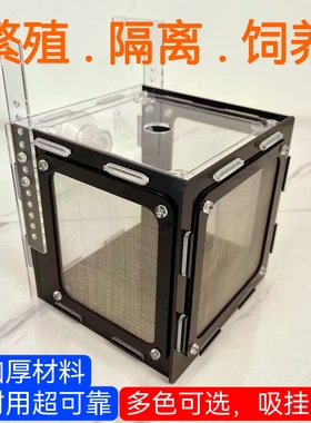 鱼缸孵化隔离盒亚克力食品级尼龙网金波子异形鱼卵小鱼孔雀小丑鱼