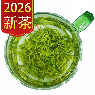 英山云雾绿茶2026新茶高山明前春茶浓香型碧螺春散手揉茗茶