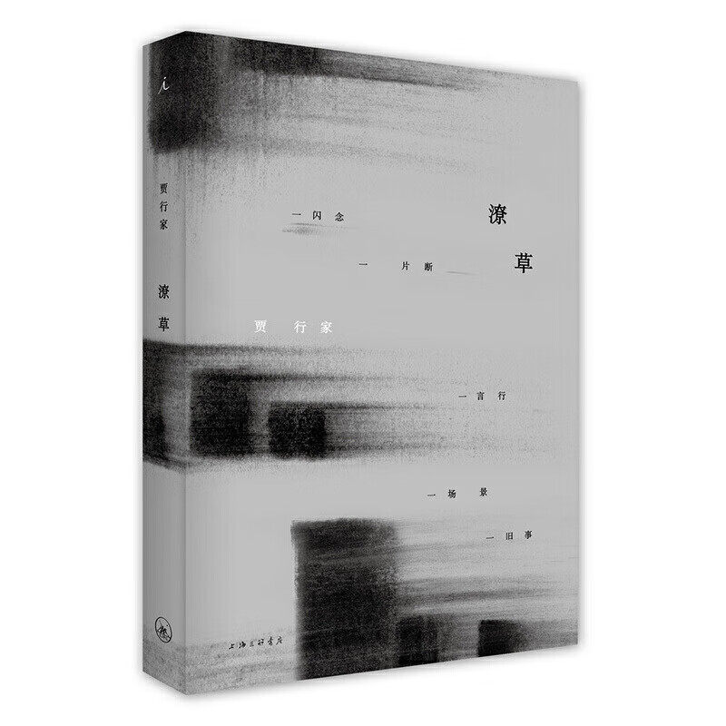 潦草 贾行家 世界上所有的沙子同作者