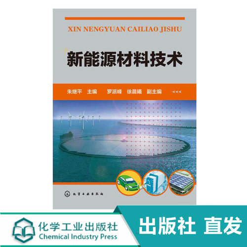 化工社直发 新能源材料技术 朱继平 罗派峰 徐晨曦 能源物理化学太阳能电池材料书 新能源技术以及能源书