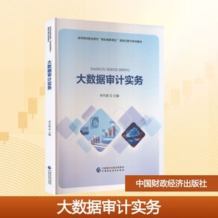 正版现货 大数据审计实务 中国财政经济出版社 李代俊 主编 编 大学教材