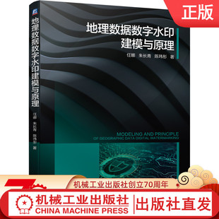 机械工业 地理空间数据理论技术应用 地理数据数字水印建模与原理 地球观测测绘导航技术 教学科研开发参考书 任娜朱长青陈玮彤