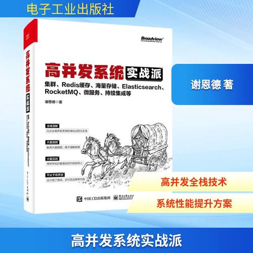 正版现货 高并发系统实战派 集群、Redis缓存、海量存储、Elasticsearch、RocketMQ、微服务、持续集成等 电子工业出版社