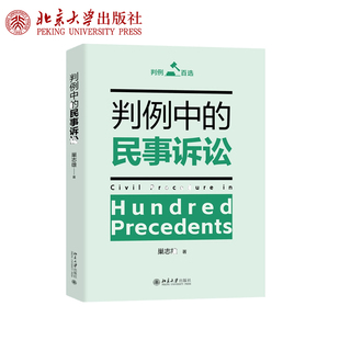 现货正版 判例中的民事诉讼 巢志雄著 精选110个经典判例 民诉程序的客观样貌 民诉法教学研究 北京大学出版社9787301369883