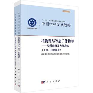 正版现货 核物理与等离子体物理——学科前沿及发展战略 科学出版社 王乃彦 著 自然科学总论