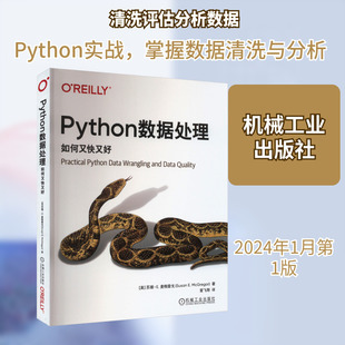 正版现货 Python数据处理 如何又快又好 机械工业出版社 (美)苏珊·E.麦格雷戈 著 爱飞翔 译 软件工程