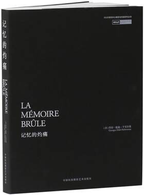 正版现货 记忆的灼痛 中国民族摄影艺术出版社 (法)乔治·迪迪-于贝尔曼(Georges Didi-Huberman) 著;胡新宇 等 译 著
