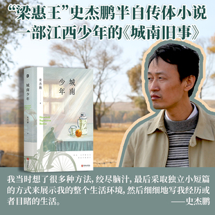 正版现货 城南少年 少年版《城南旧事》梁惠王史杰鹏半自传体小说1970—1990年代初生活70后的少年时代江西少年的《城南旧事》北贝