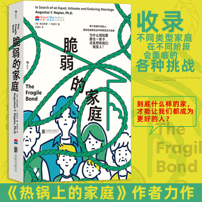 正版现货 脆弱的家庭 北京联合出版公司 (美)奥古斯都·Y.纳皮尔(Augustus Y.Napier) 著 刘建华 译 婚恋