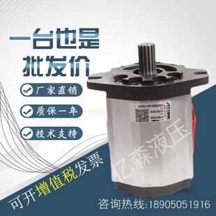 进口赛特玛SETTIMA螺杆泵G55C090FSBT150ED花键平键齿轮油泵