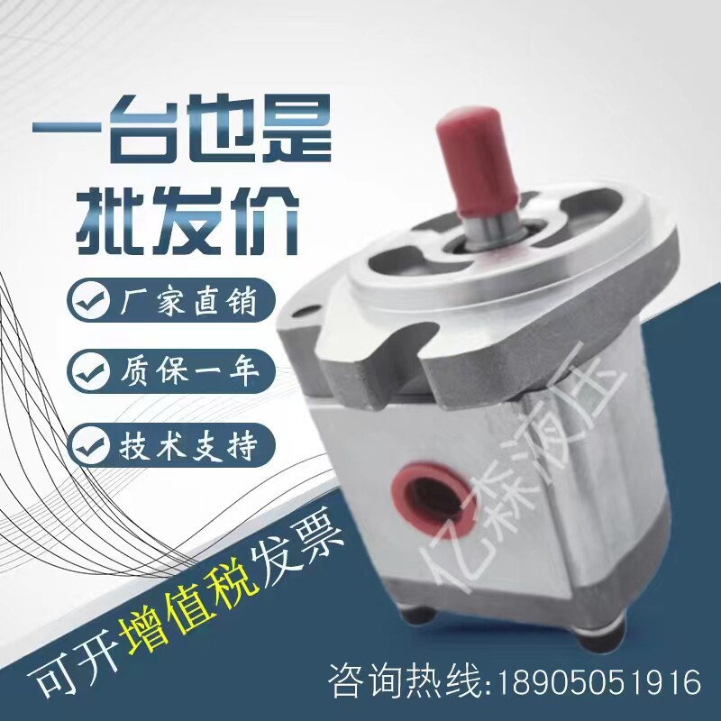 KOMPASS康百世定量齿轮泵P101/P102/P127/P135/P104/P105P113油泵 - 实物图