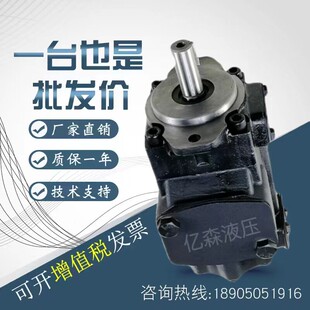 丹尼逊双联叶片泵T6CC025 020/028 012/031 014/017 006-1R00C100