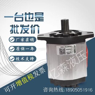 进口赛特玛SETTIMA螺杆泵G55C063FSBT150ED花键平键齿轮油泵