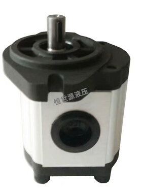 台湾锐力液压REXPOWER RGP-F306R RGP-F310R RGP-F318R-K4-C-L103