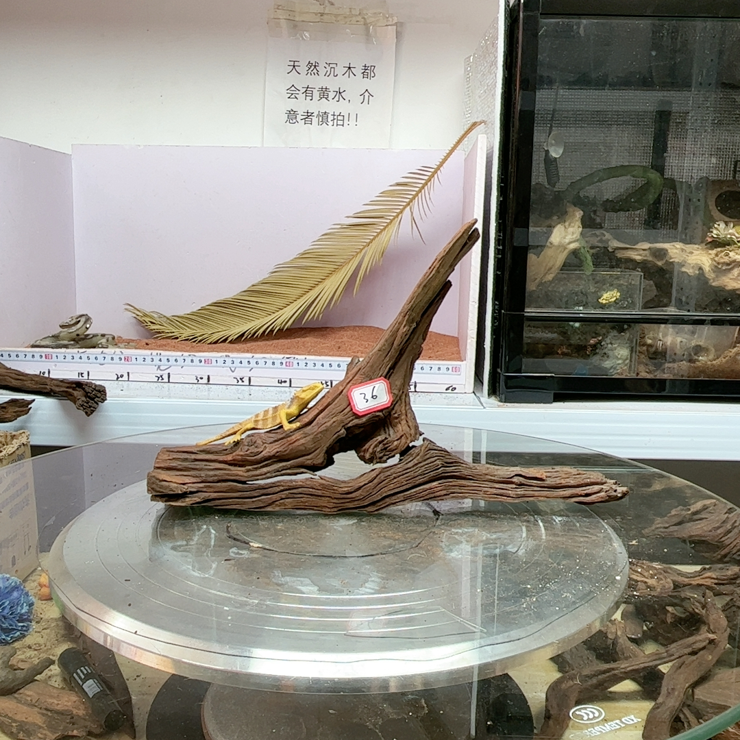 紫柚木秒沉36号长32宽8高20