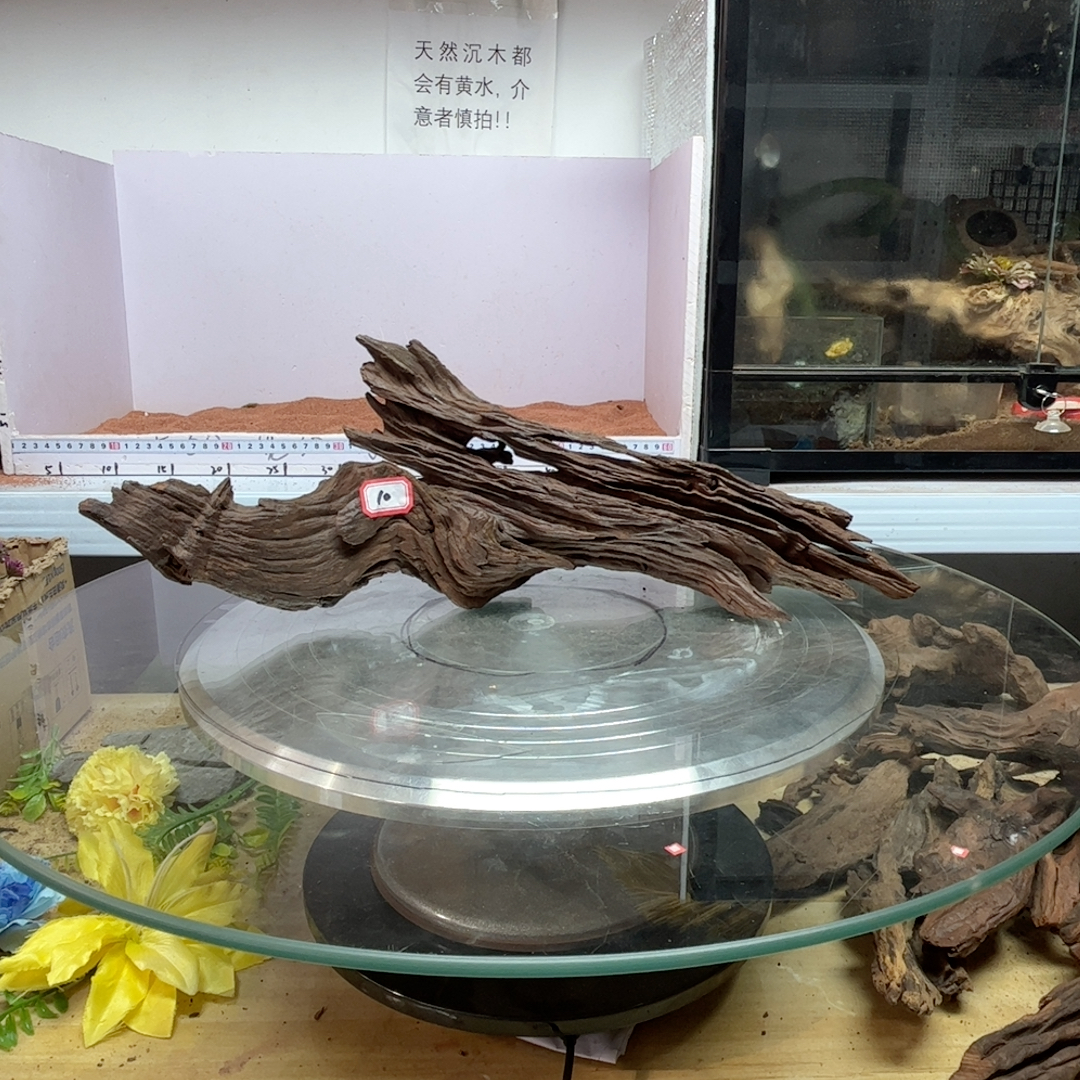 紫柚木秒沉10号长44宽8高15