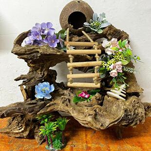 寄居蟹专用造景木攀爬躲避爬缸陆不沉水金丝千层